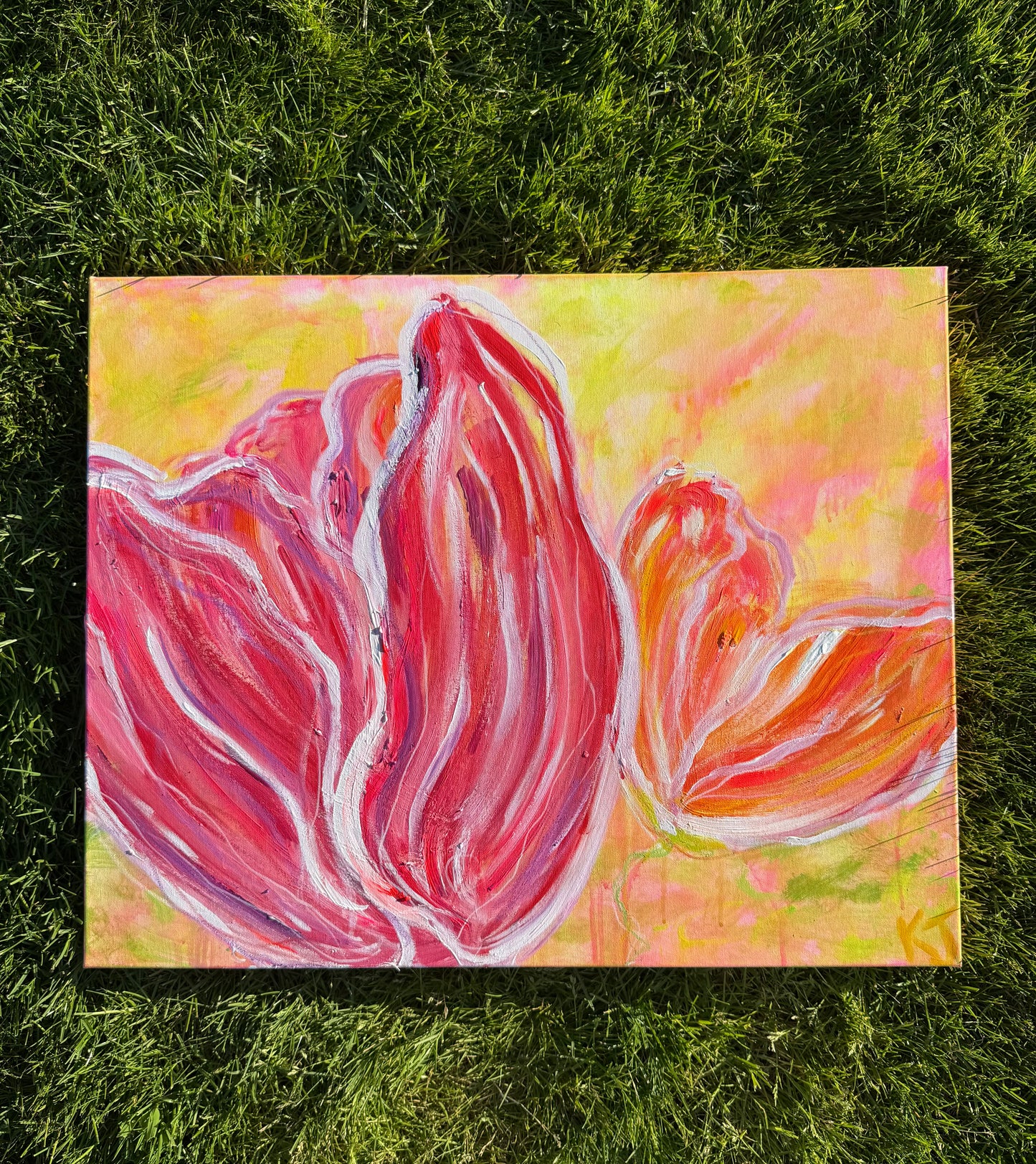 Skagit Tulips