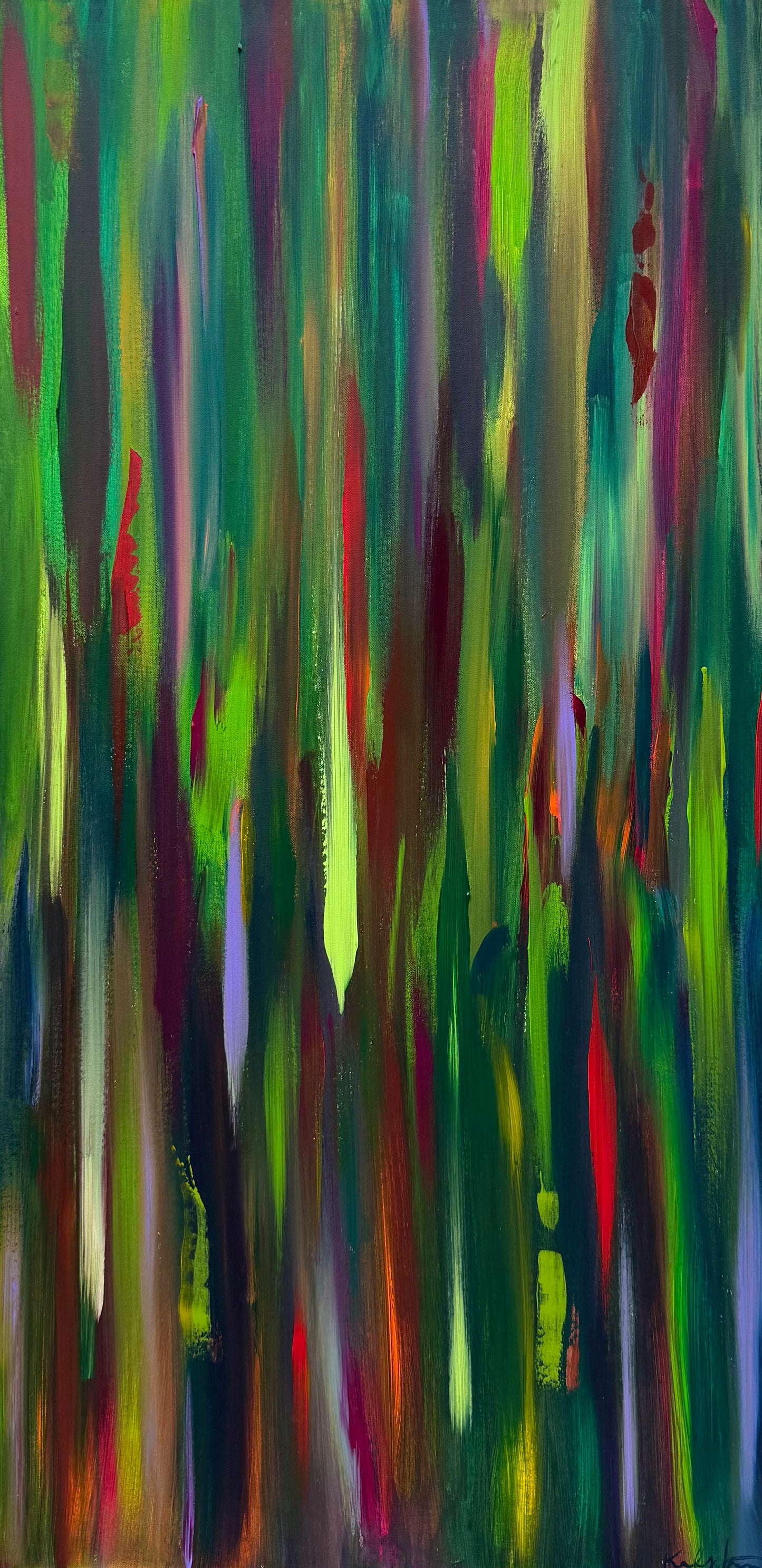 Rainbow Eucalyptus