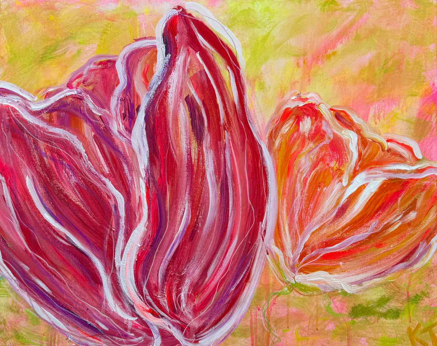 Skagit Tulips