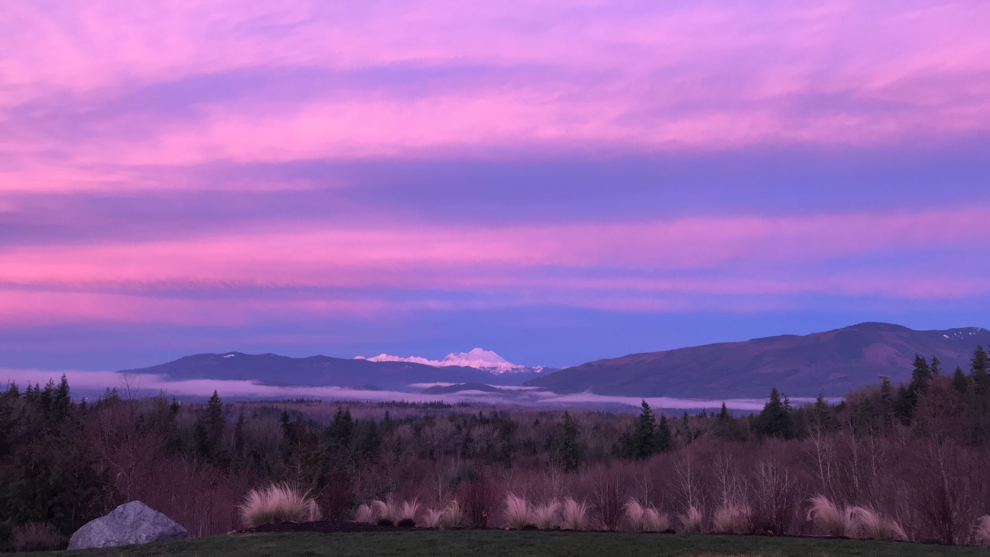 MOUNT BAKER SKY